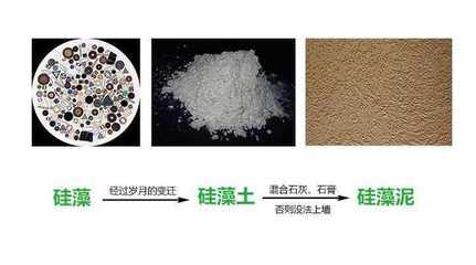 你想知道的硅藻泥知识,都在这里了!