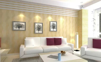 选择壁康硅藻泥，成就您的致富梦想