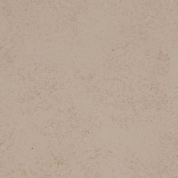 最新洛迪硅藻泥产品展示 环保与美观的完美结合