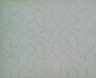 硅藻泥施工工艺之压花肌理施工方法